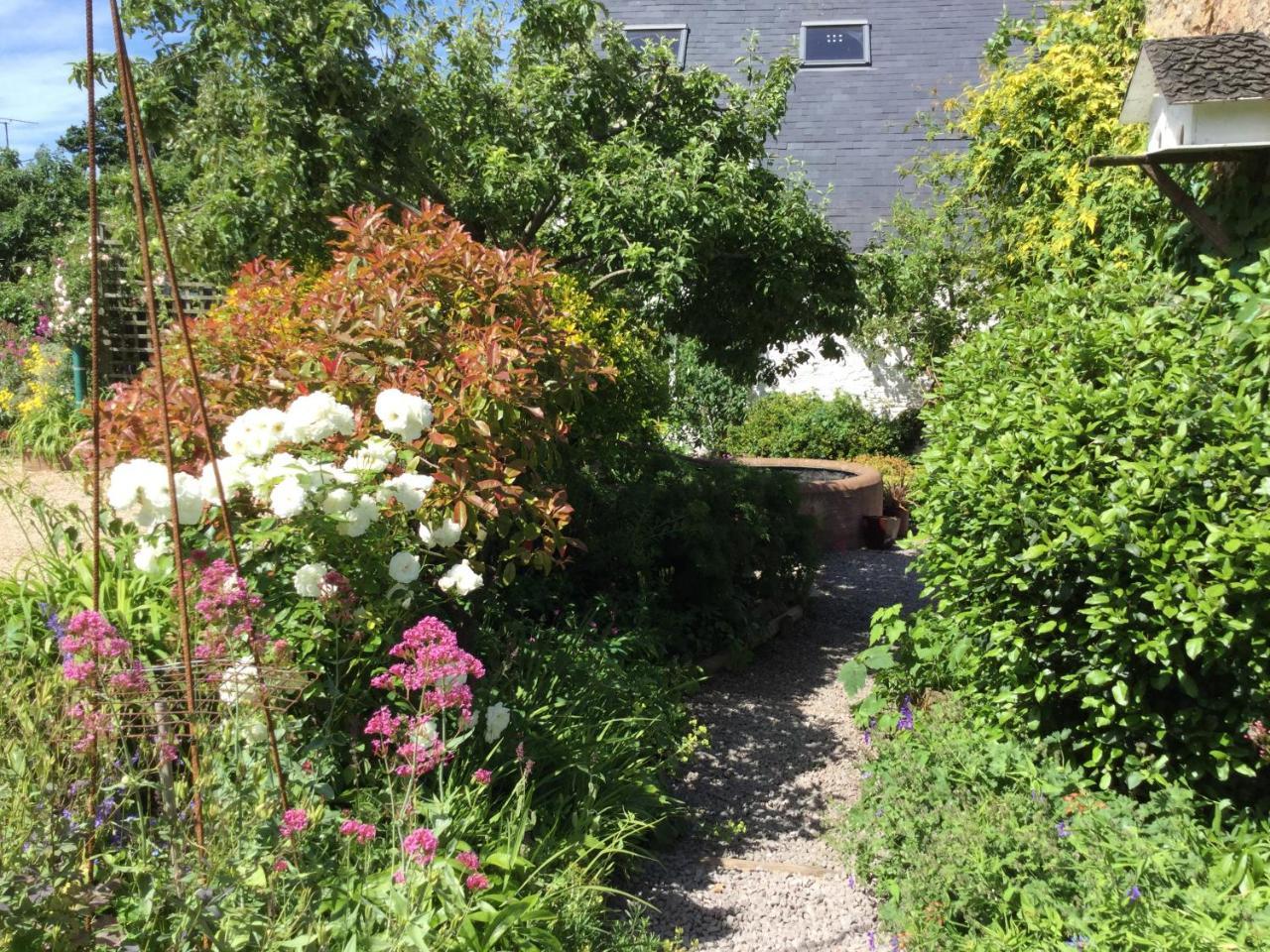 Steps Farmhouse B&B Minehead Exterior photo